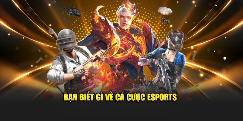 Bạn biết gì về cá cược Esports