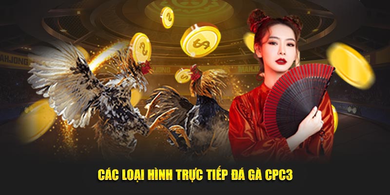 Các loại hình trực tiếp đá gà CPC3