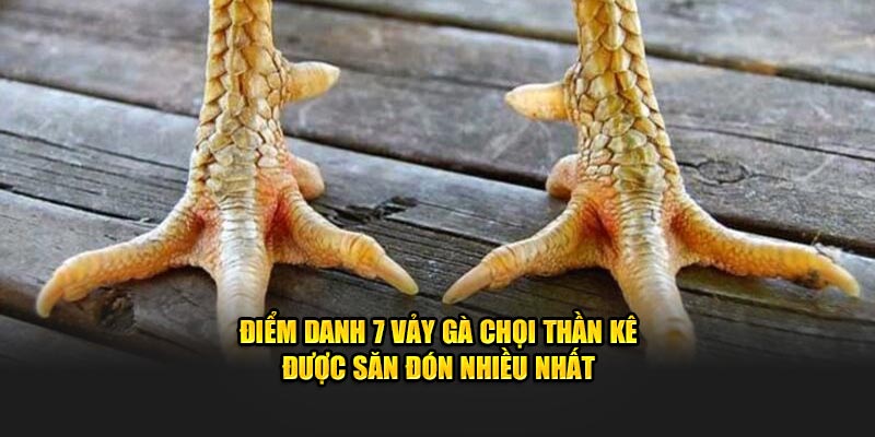 Điểm Danh 7 Vảy Gà Chọi Thần Kê Được Săn Đón Nhiều Nhất