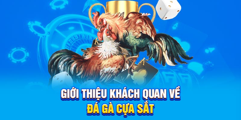 Giới thiệu khách quan về đá gà cựa sắt