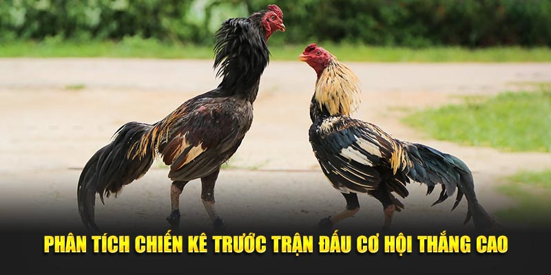 Phân tích chiến kê trước trận đấu cơ hội thắng cao