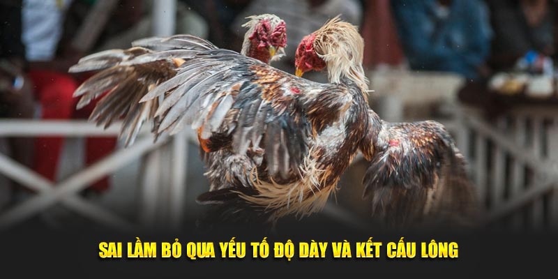 Sai lầm bỏ qua yếu tố độ dày và kết cấu lông 