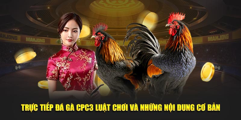 Trực Tiếp Đá Gà CPC3 Luật Chơi Và Những Nội Dung Cơ Bản