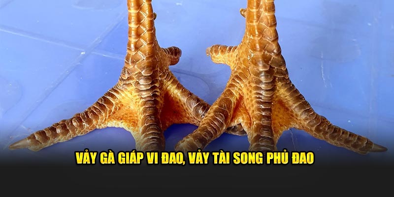 Vảy kê giáp vi đao, vảy tài song phủ đao